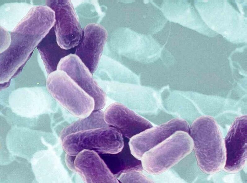 Prostatitis ursächliche Wirkstoffe bei Männern mit sexuell übertragbaren Krankheiten