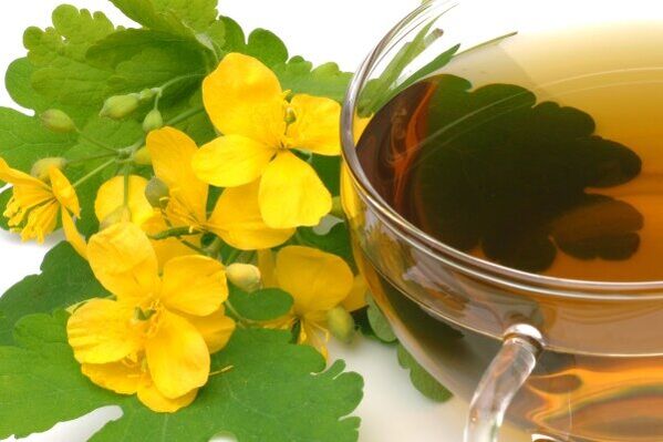 Infusion von Schöllkraut zur Behandlung von Prostatitis
